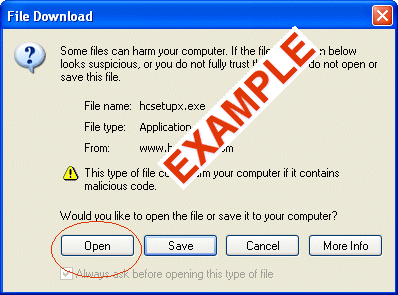 File Download window